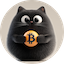 BITCAT